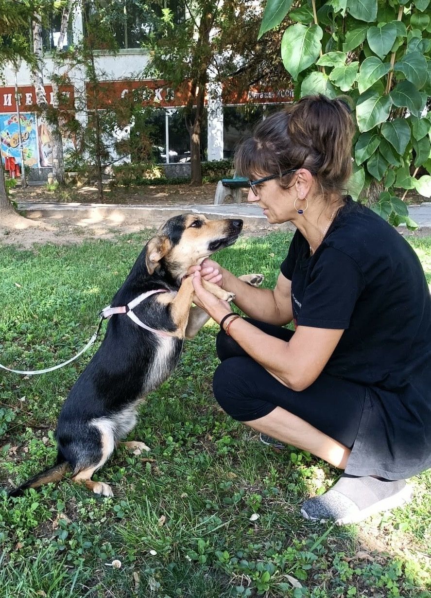 LINA - 11 mięs. bardzo kochana sunia