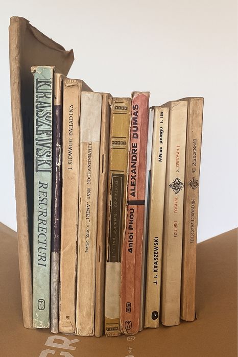 Zestaw dwunsatu starych książek o różnej tematyce literatura klasyczna