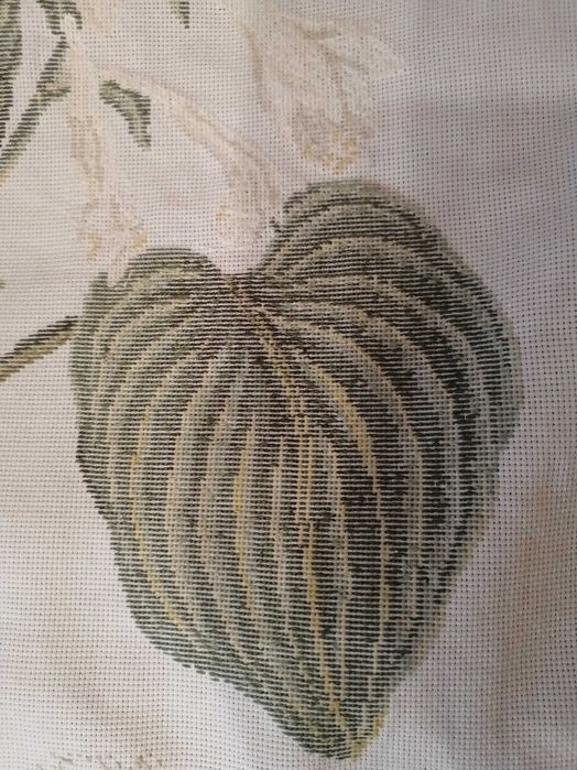 Вишивка "Хоста розквітла"