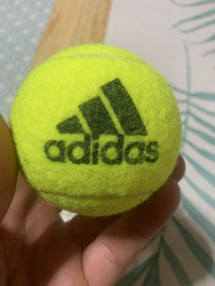 Bolas Ténis adidas