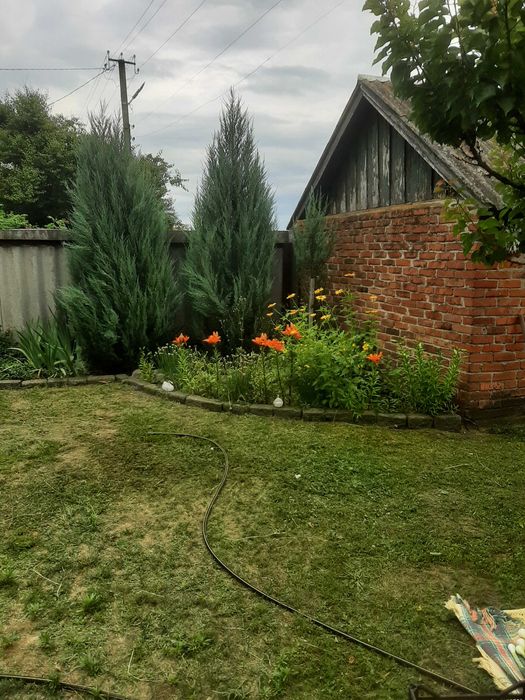 Земельна ділянка