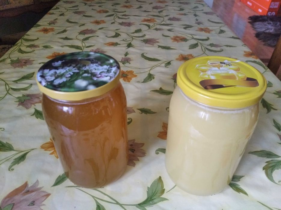 Sprzedam miód z własnej pasieki