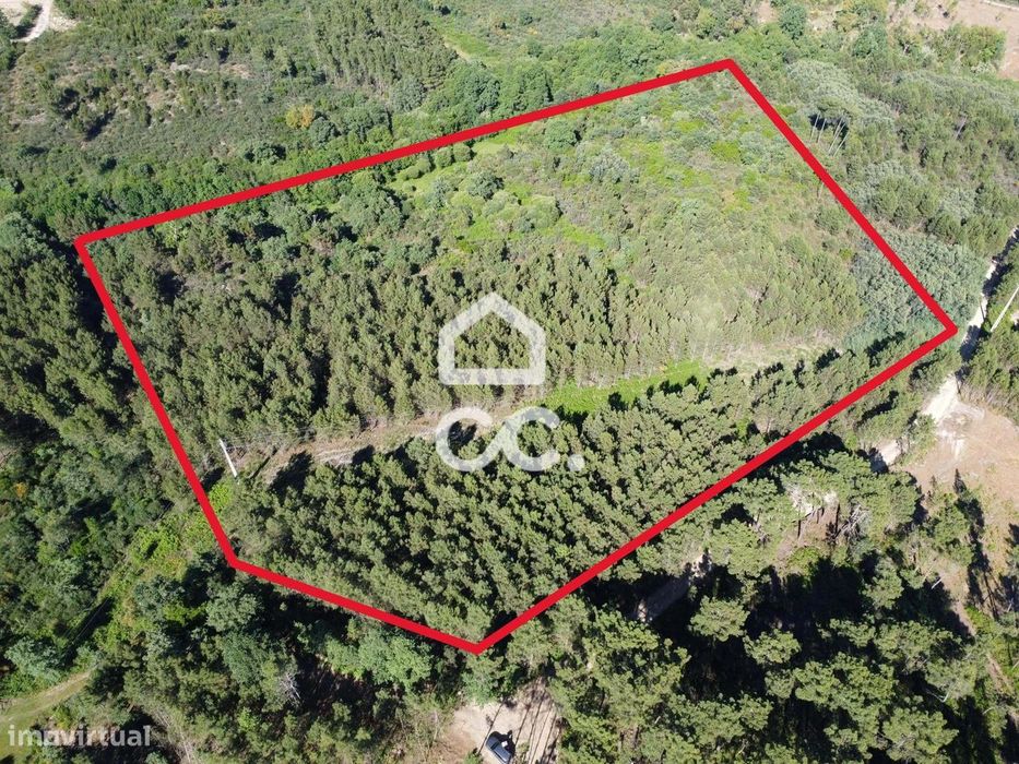 Terreno plano, com area atrativa de 52 mil metros perto da cidade e bo