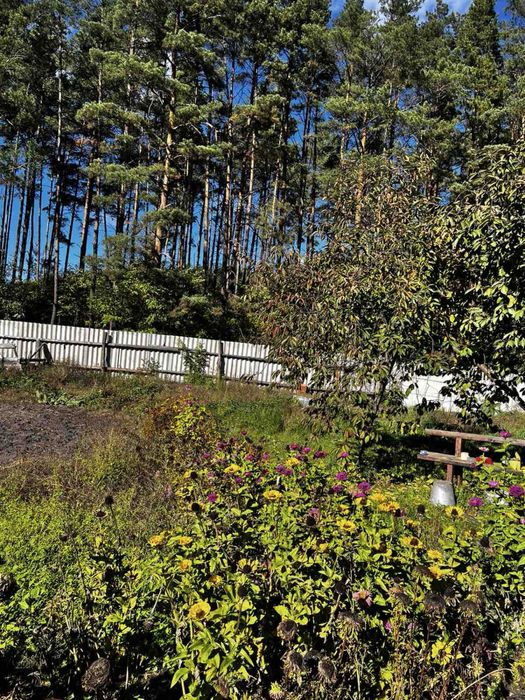 Продам ділянку в ПРОЦЕВІ 17сот  з будинком і комунікаціями