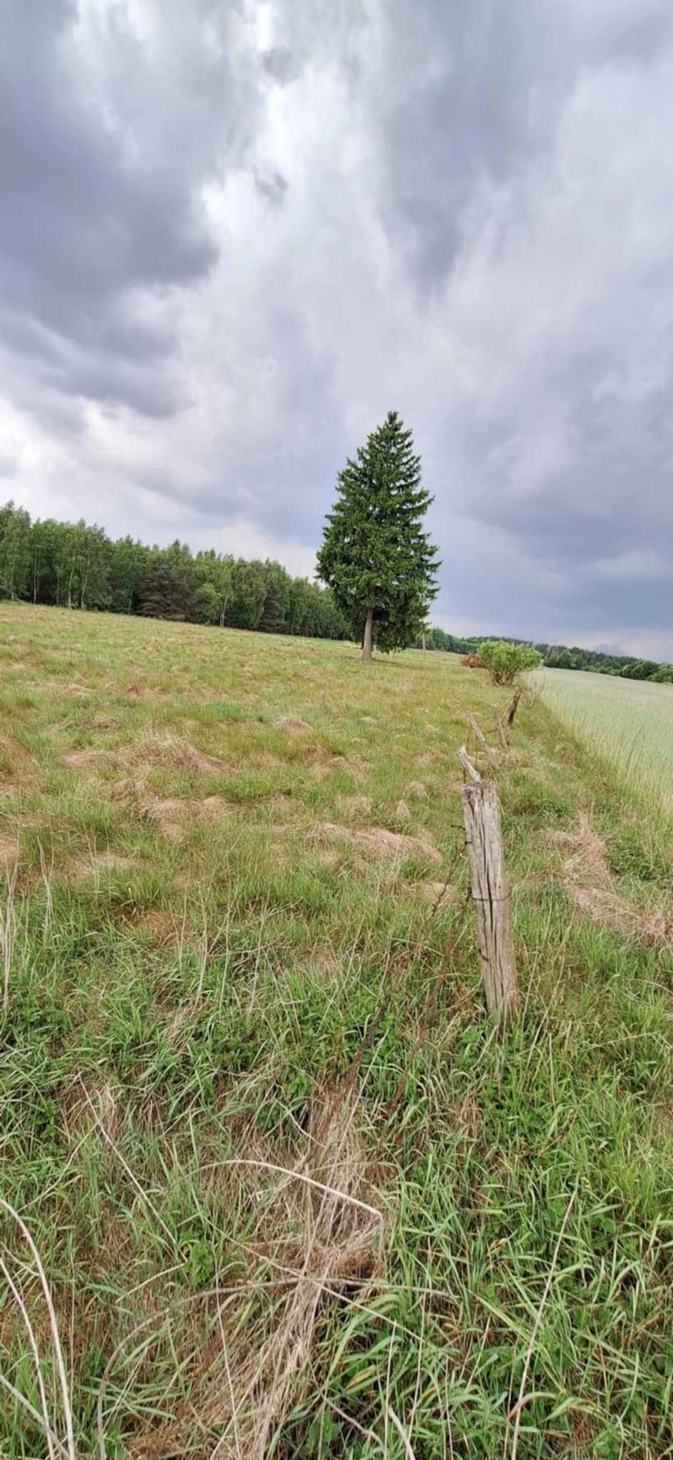 Działki rolne 3,5ha (cena za całość)  Glinojeck
