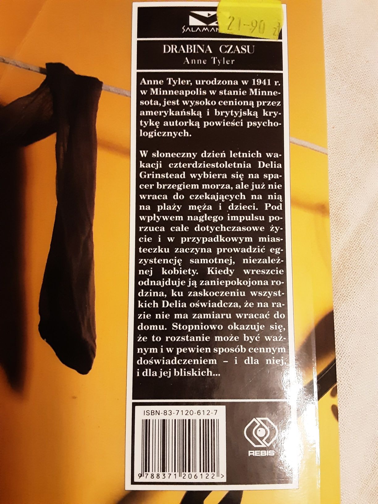 Drabina czasu Anne Tyler