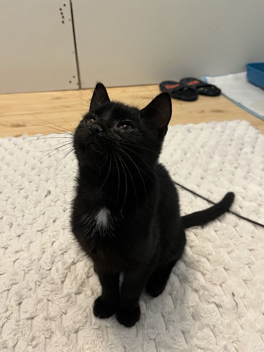 Oddam w dobre ręce.