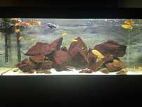 Sprzedam zestaw Aquael opti set 240l.