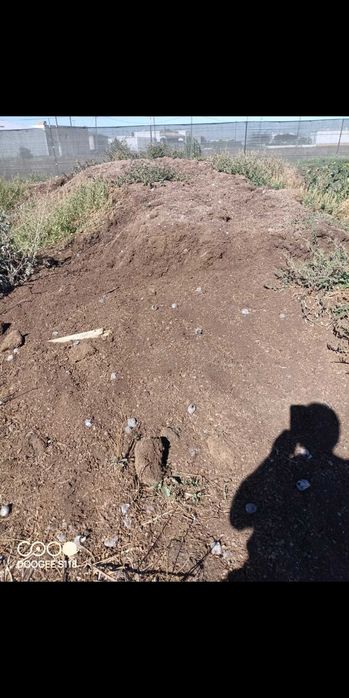 Turfa para plantações