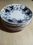 Talerzyki płaskie spodki porcelana Villeroy Boch Bryonia 7 szt.
