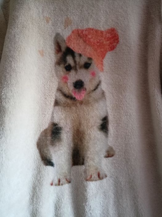 Ciepła bluza z misia rozm 128.