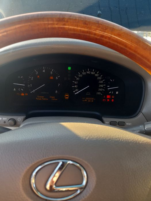 Продам "японського кабана"