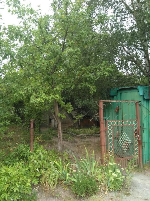 Дачна ділянка, СТ Ветеран, район Болгари, м. Новогад-Волинський