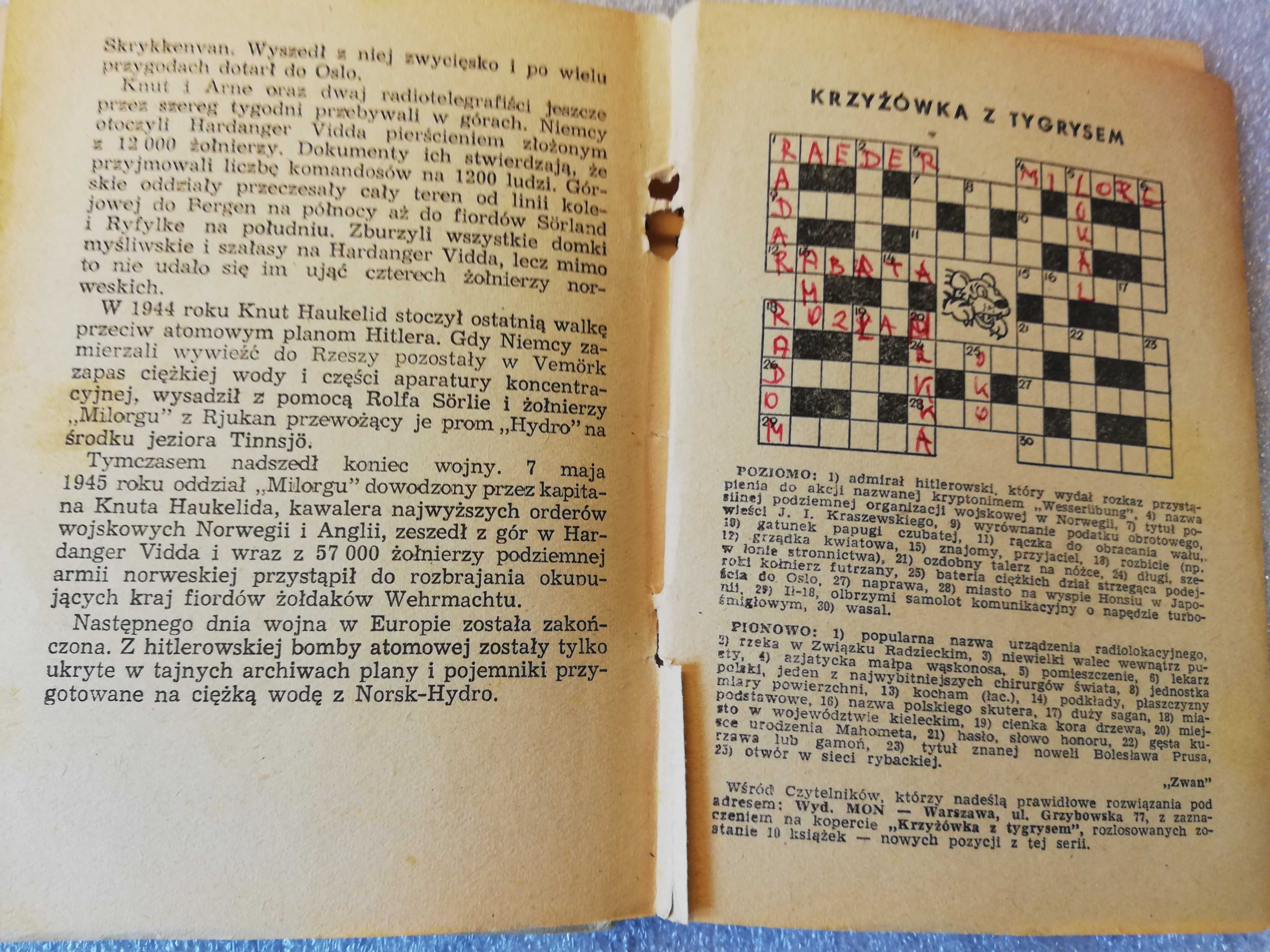 Wybuch w Norsk-Hydro - Wilamowski - wydanie I - 1960 - Żółty Tygrys