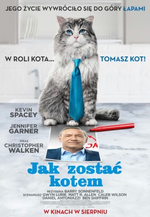 Jak NOWY !!! Film Na DVD "Jak zostać kotem" !!!