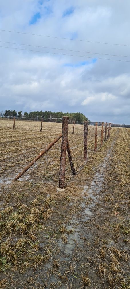 Ogrodzenie budowlane, ogrodzenie tymczasowe, ogrodzenie leśne