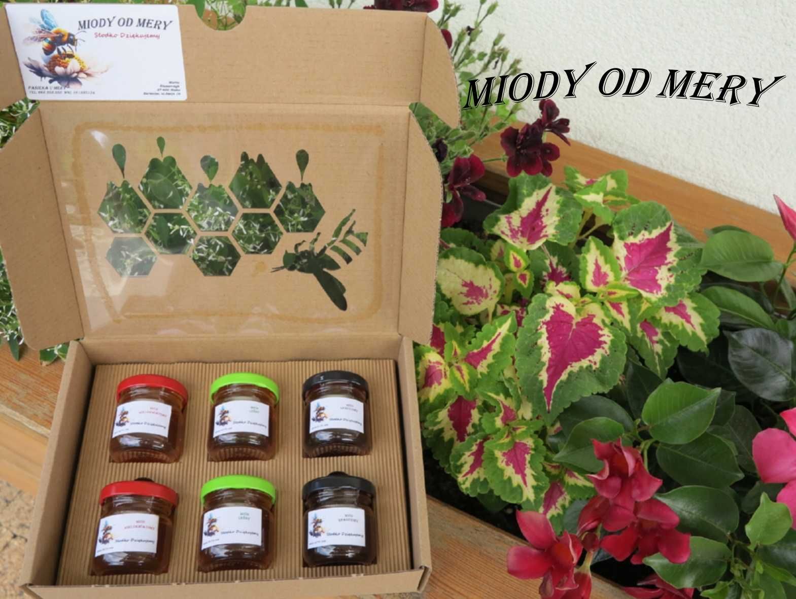 Zestaw Prezentowy Mini Mix 3 x50g Owocowe Degustacyjne Smaczki Miodowe