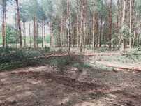 Sprzedam Stemple Nowe