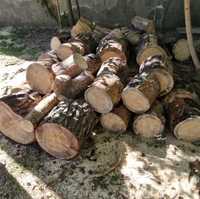 Сосна: дрова колотые и чурки.