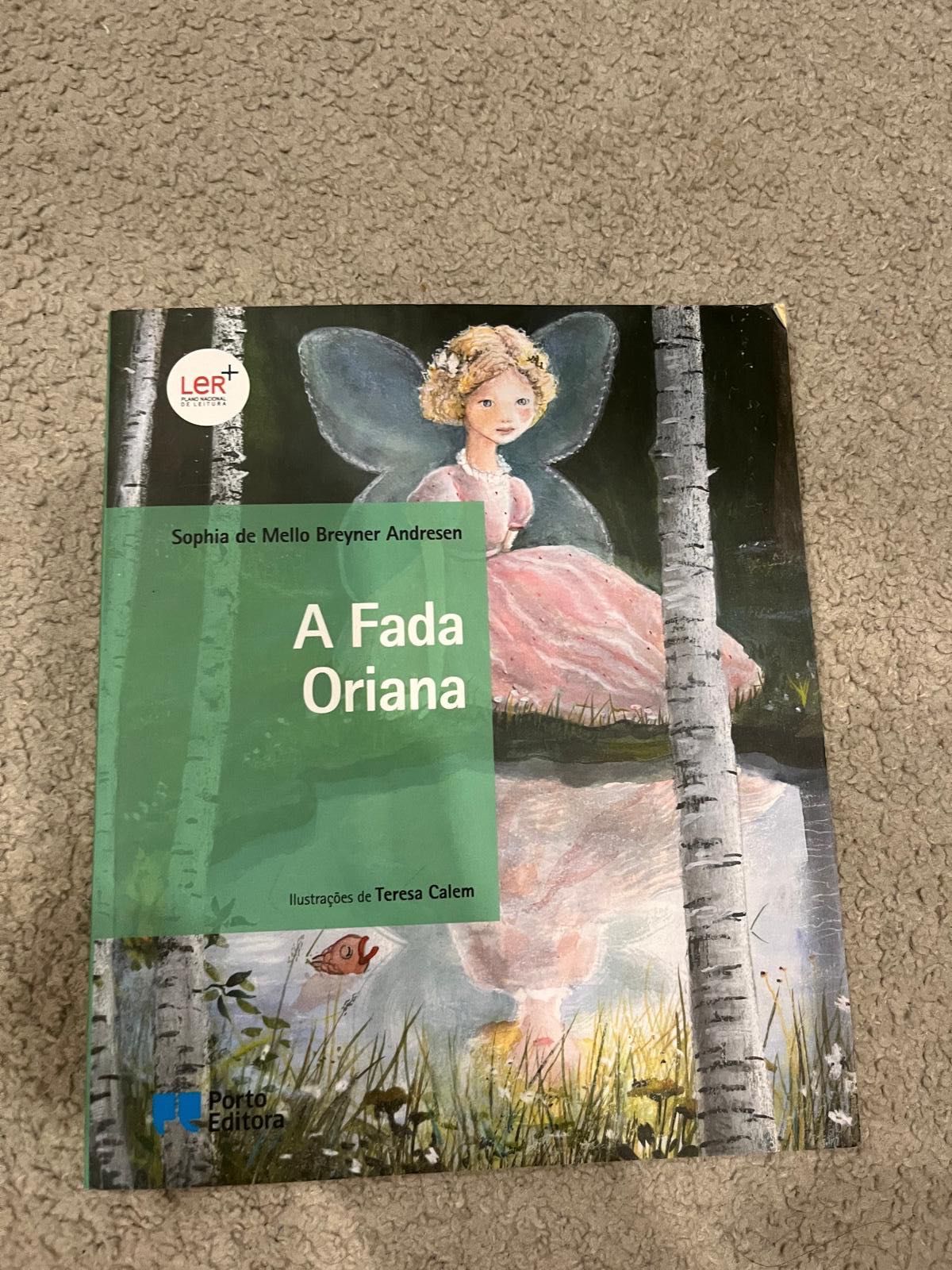 livro juvenil “A fada oriana”