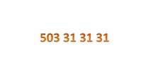 Złoty numer 503_31_31_31