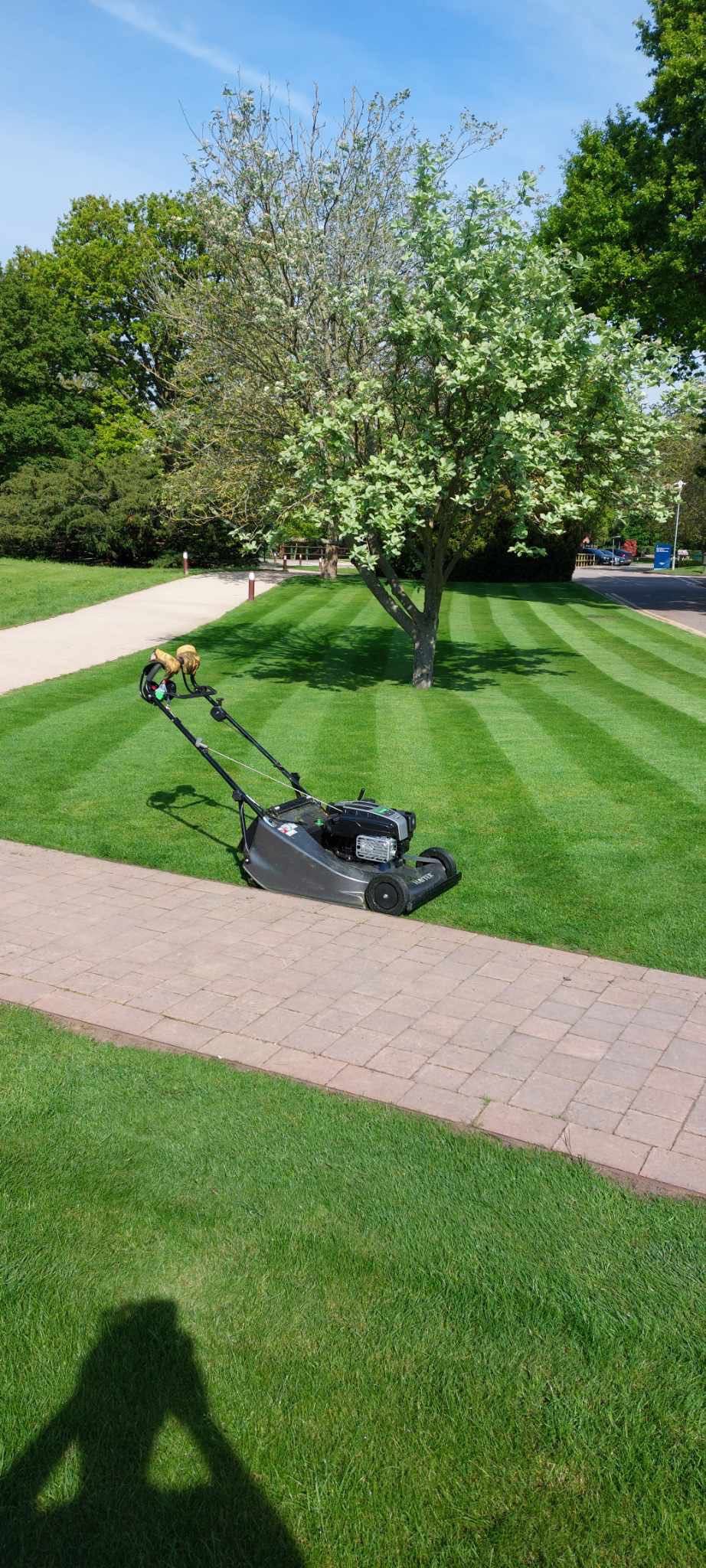 Serviços de jardinagem
