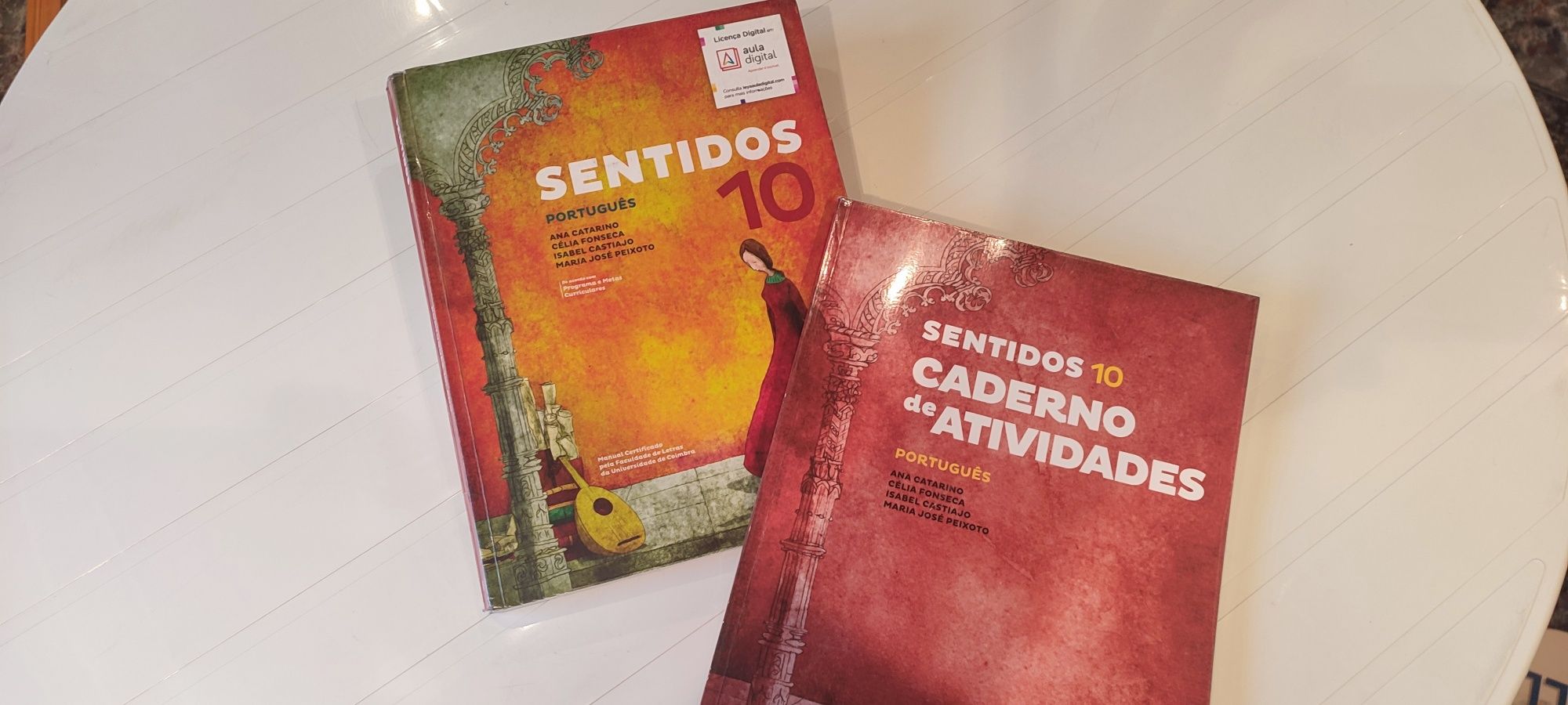 Manuais escolares + cadernos de atividades para o 10 ano!