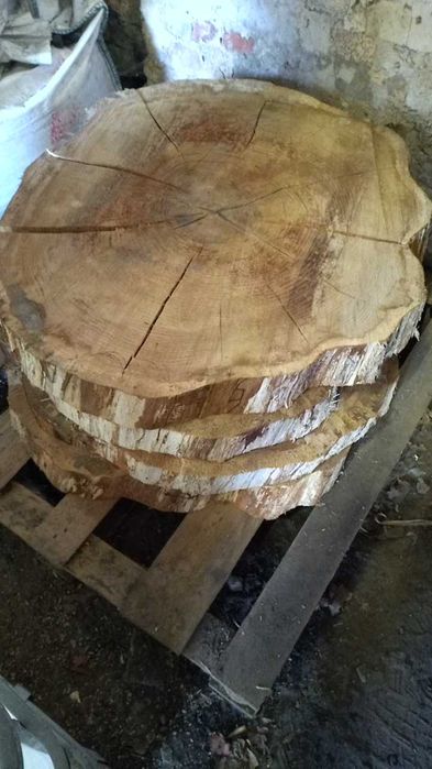 Plastry drewna dębu debu