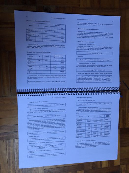 Temas de Contabilidade de Gestão (impresso)