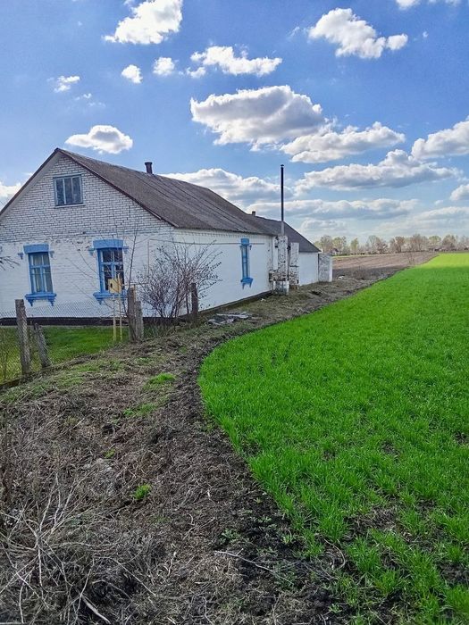 Продажа !!!с.Нова Маківка,Київська обл. БІЛОЦЕРКІВСЬКИЙ РАЙОН