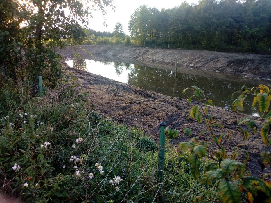Kopanie Stawów , Oczek wodnych, Staw wykopanie koparka