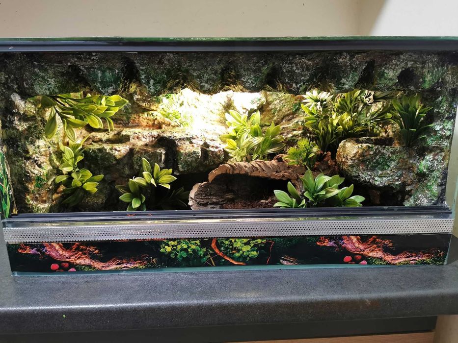 Terrarium 60x30x30 tropikalne dla gekon