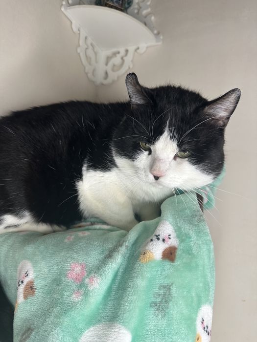 Боренька очень ищет любящую семью