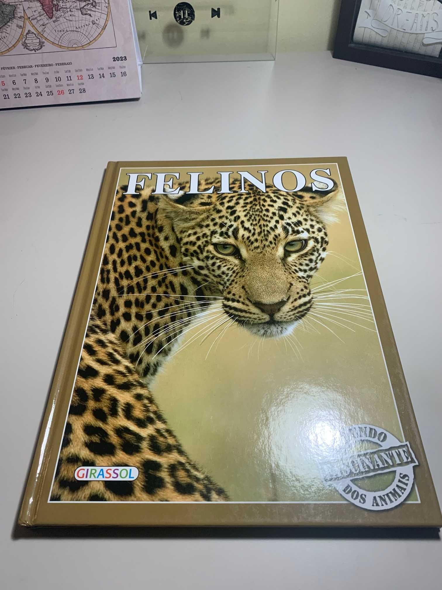 Livro sobre felinos