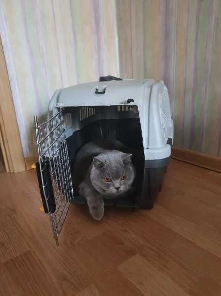 Переноска бокс клетка для собак кошек размеры от №1,2,3,4,5,6,7 АВИА