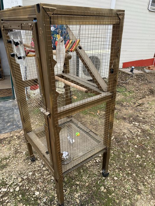 Gaiola passaro grande