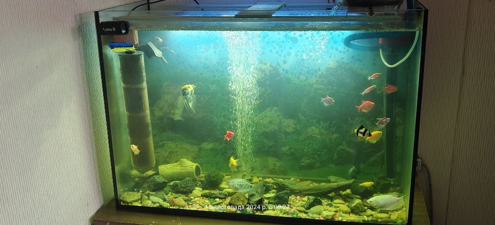 Терміново! Продам акваріум з рибами