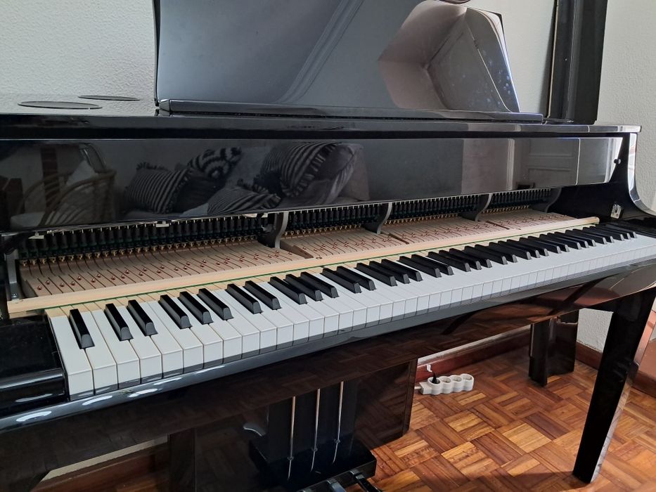 Piano kawai nv10s hibrido