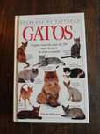 Guia de raças de gatos