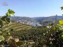 Quinta para venda no Douro