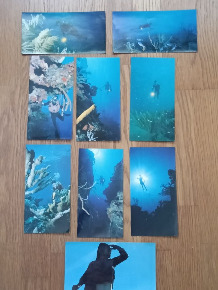 Bela coleção, imagens Sub- aquáticas+ 1 diverso
