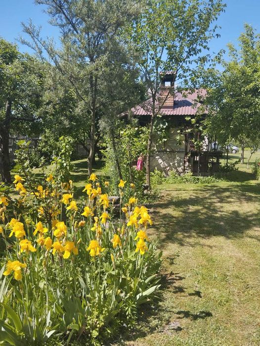 Domek letniskowy- wynajem