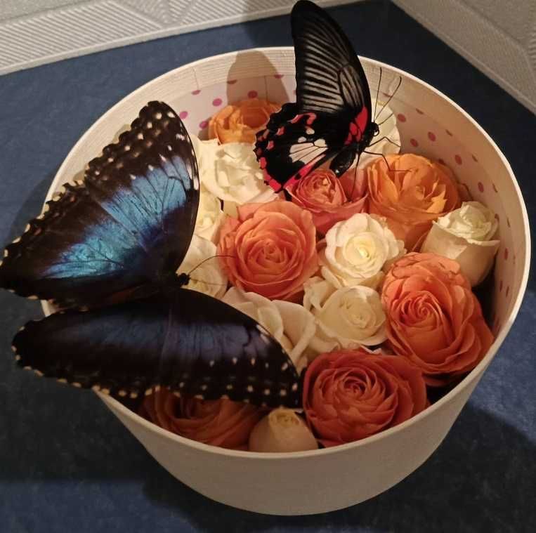 Цветы и бабочки - удивительный подарок!