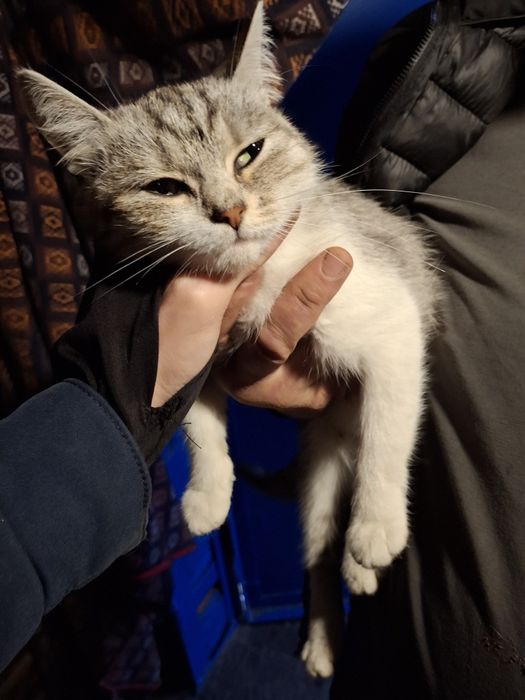 Відаю в добрі руки
