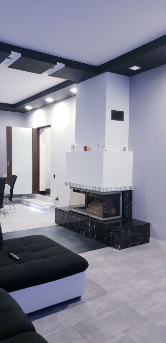 Каміни Печі Димоходи Монтаж каміна камінної топки портала