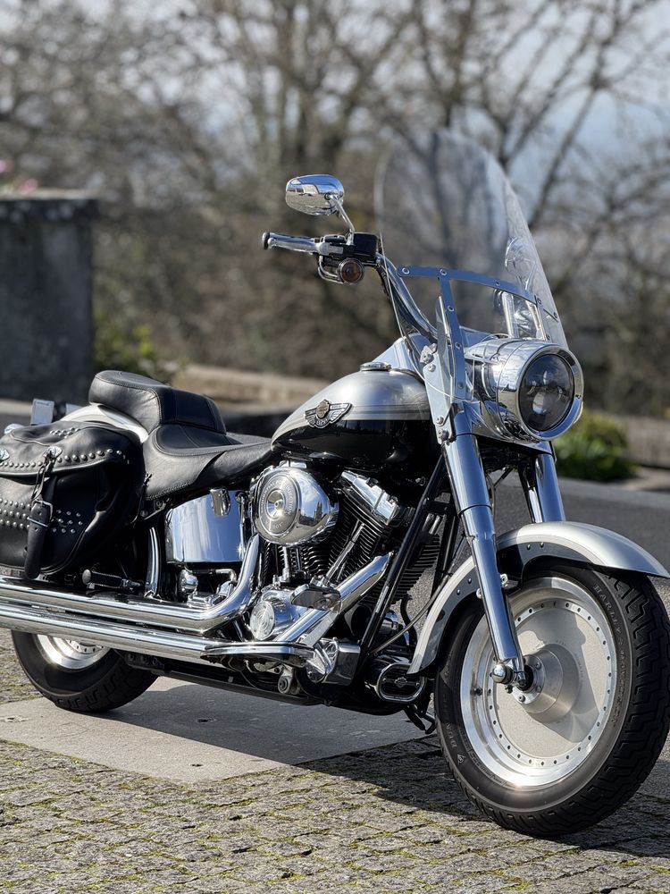 Harley davidson fat boy