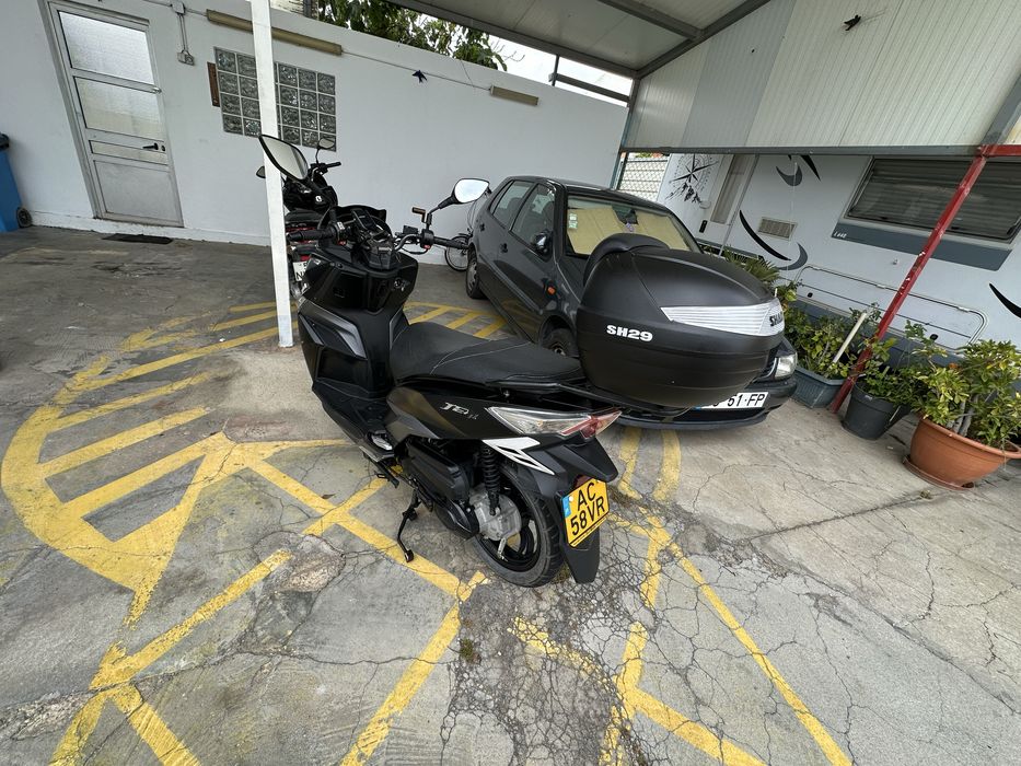 Sym jet 14 50cc ciclomotor