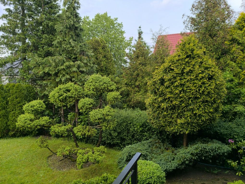 Domek z basenem,Kaszuby,weekend,urlop,jezioro,las,badminton,koszykówka