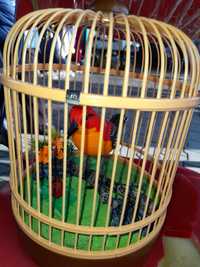 Śpiewający  Ptak w klatce
