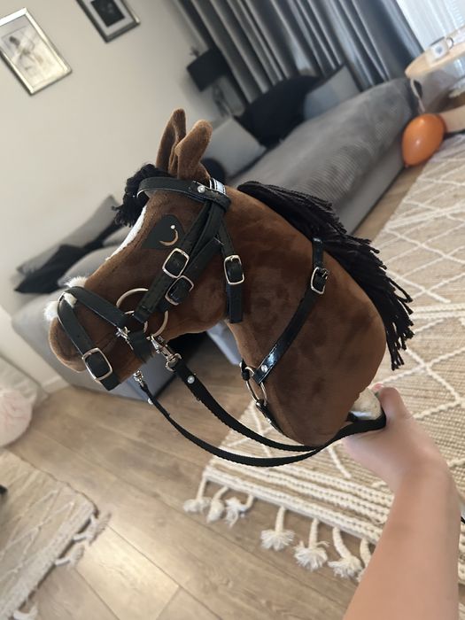 Hobby horse gniady a4